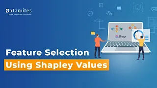 Using Shapley Value for feature selection | Machine Learning