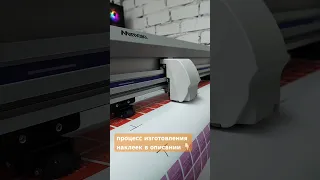 Вырезка наклеек на плоттере 🔥 говорят, если долго смотреть это видео, захочется заказать наклейки