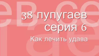 38 попугаев #6 аудиосказка онлайн слушать