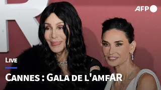 🔴 REPLAY - Cannes 2024 : les célébrités arrivent au gala annuel de L’amfAR