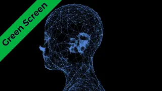 HD Green Screen | Plexus Human Head rotation, AWSOME !