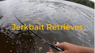 Jerkbait Retrieves