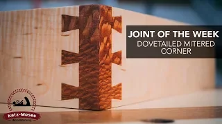 Mitered Dovetail Corner - Joint of the Week