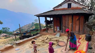 Rural life of Nepali dally village life || Himalayan peaceful And Beautiful village lifestyle