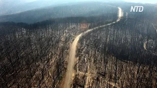 Пожары в Австралии: ещё три жертвы