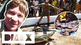 Steve Irwin Rescues Abused & Scared Crocodile | Crocodile Hunters: The Best Of Steve Irwin