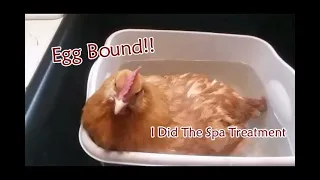 Egg Bound | I did The Spa Treatment