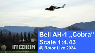 GIANT Bell AH-1 "COBRA" at ROTOR live 2024!