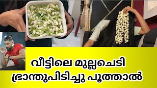 Jasmine plant caring/Normal method to tie jasmine flower/Simple tips