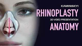 3D NASAL ANATOMY. Nose job. Nasal cavity. Pitanguy ligament / KAMINSKYI