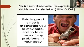 Pain Neuroscience Education for Healthcare Professionals