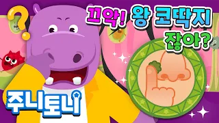 코딱지는 왜 생길까? | 큐리큐리송 | 궁금해요! 하무씨의 왕코딱지 😆 | 알쏭달쏭 인체탐험 | 호기심동요 | 주니토니 by 키즈캐슬