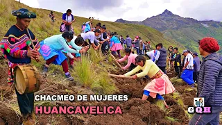 Concurso de Chacmeo de Mujeres-San Juan de Chilcapata-Huancavelica😘 | Greylin Aventurera