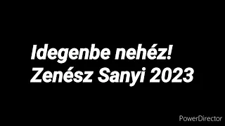 Idegenbe Nehéz - Zenész Sanyi 2023