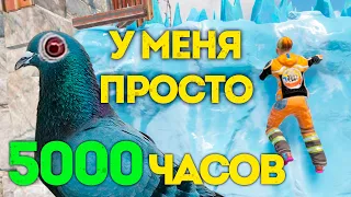 Растер за 5000 часов научился летать в Rust | АДМИН ЧИТ ПАТРУЛЬ