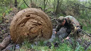 Когда УБРАЛ ГРЯЗЬ глаза НА ЛОБ ПОЛЕЗЛИ что я увидел!