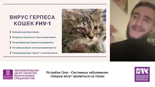 Ястребов Олег - Системные заболевания, которые могут проявиться на глазах