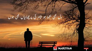 Dil bhi bujha ho sham ki parchaya bhi ho | sad Urdu poetry | marziyan