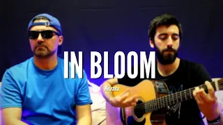 In Bloom - Nirvana (Acoustic cover) by NEUMA