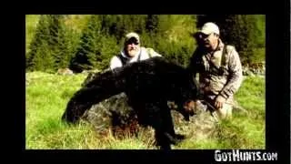 Alaska Black Bear Hunts