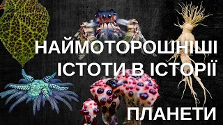 ДЕСЯТЬ МОТОРОШНИХ ІСТОТ: РОСЛИНА-КАЖАН, ПАВУК-ВАМПІР, МОРСЬКИЙ ОГІРОК-КТУЛХУ ТА ШТОПОРИ ДИЯВОЛА