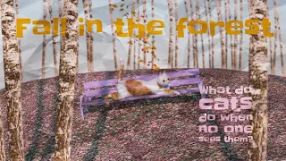 Fall in the forest. What do cats do when no one sees them? Cartoon created in Cinema 4d.