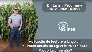 Aplicação de Fósforo a Lanço em Culturas Anuais na Agricultura Nacional: Posso Fazer ou Não?