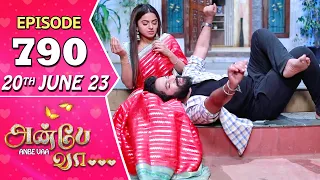 Anbe Vaa Serial | Episode 790 | 20th June 2023 | Virat | Delna Davis | Saregama TV Shows Tamil