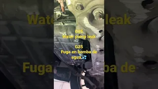 G35 water pump leak