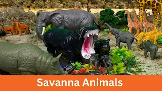 Meet African Safari Animals | Savanna Diorama Craft: Kids' Fun Facts