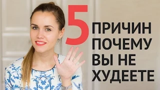 5 причин почему вы не худеете! Как похудеть? Помощь в похудении.