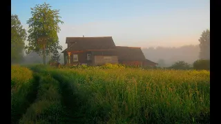 Звуки Природы / Расслабляющие звуки деревни утром / Пение птиц / Деревня в утренние часы.