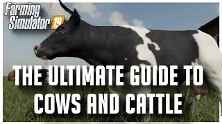 The Ultimate Guide and Tutorial to Cows in Farming Simulator 2019