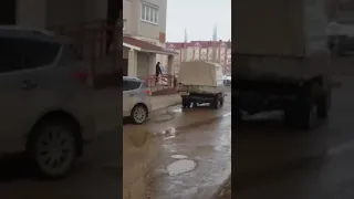 Лось пришёл в город посмотреть на животных