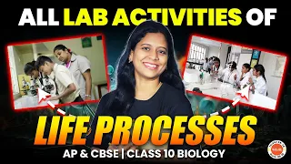 All Lab Activities of LIFE PROCESSES | AP & CBSE | Class 10 Biology