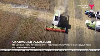 Уборочная кампания в районах Тюменской области