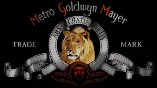 MGM Lions # 9