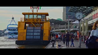 Hamburg Travel Video
