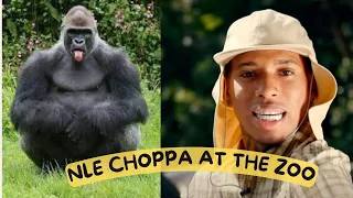 NLE Choppa Shoots New Music Video At The Zoo #nlechoppa #hiphop #trending