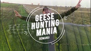 GEESE HUNTING ROMANIA 2018