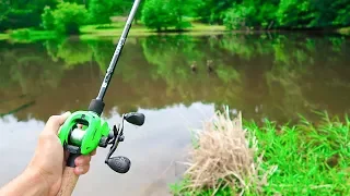 This TINY Pond is LOADED w/ Bass (Bank Fishing)