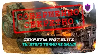 ТОЛЬКО 0,4% ИГРОКОВ ЗНАЮТ ОБ ЭТИХ СЕКРЕТАХ В WOT BLITZ