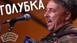 Играй, гармонь! | Алексей Ефимов (Волгоградская обл.) и Ансамбль Г. Заволокина «Частушка» | Голубка