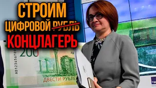 Цифровой рубль – план власти по отбору денег. Начался первый этап создания цифрового концлагеря