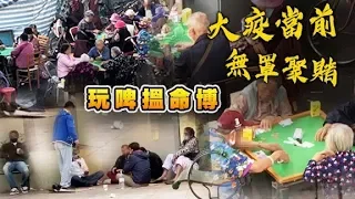 探射燈：南亞賭檔播毒溫床　玩啤變玩命- 20200316 香港新聞 on.cc東網