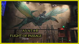 Avatar Flight of Passage Ride July 2020  SIVAKO  Ride to the Challenge