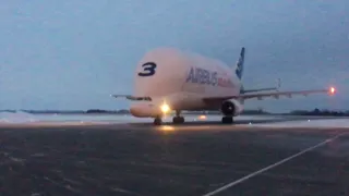 Руления самолёта Новосибирск airbus beluga a300