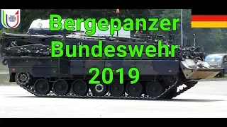 Bergepanzer 2 + Bergepanzer 3 Büffel TdoT Logistikschule der Bundeswehr Garlstedt 22.06.2019 LogSBw