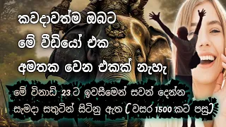 ඔබ දකින වටිනාම වීඩියෝ එක || සතුට || විශ්ව ශක්තිය || දියසෙන් || Mindfulness || diyasen kumaraya