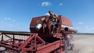 ПЕРШИЙ ВИЇЗД В ЖНИВА В 2022 РОЦІ. КОМБАЙН MASSEY FERGUSON 186. ОГЛЯД СОЇ, ГРЕЧКИ ТА КУКУРУДЗИ.